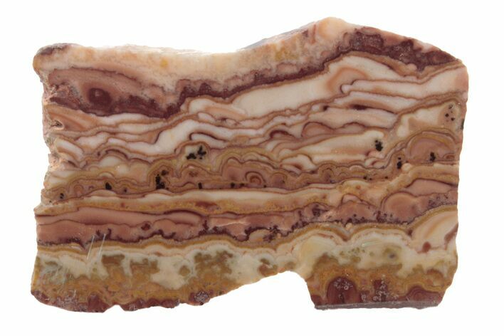 Polished Section Of Rolling Hills Dolomite - Mexico #213680